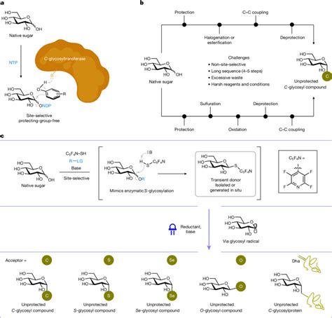 react donation worldpay|Direct radical functionalization of native sugars .